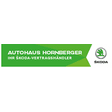 Logo für den Job Azubi (m/w/d) zum Automobilverkäufer