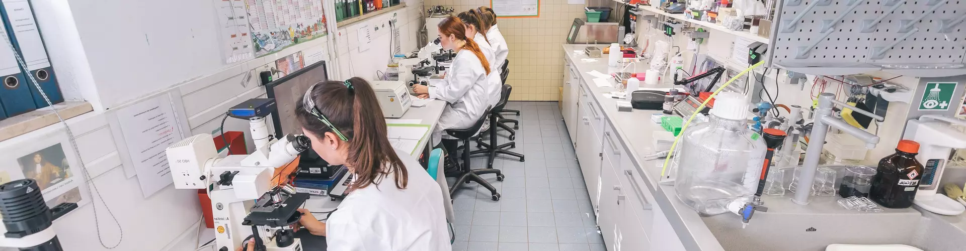 Mikroorganismen im Mikroskop untersuchen erfordert Konzentration.