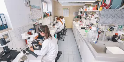 Mikroorganismen im Mikroskop untersuchen erfordert Konzentration.