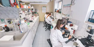 Ausbildung im Labor
