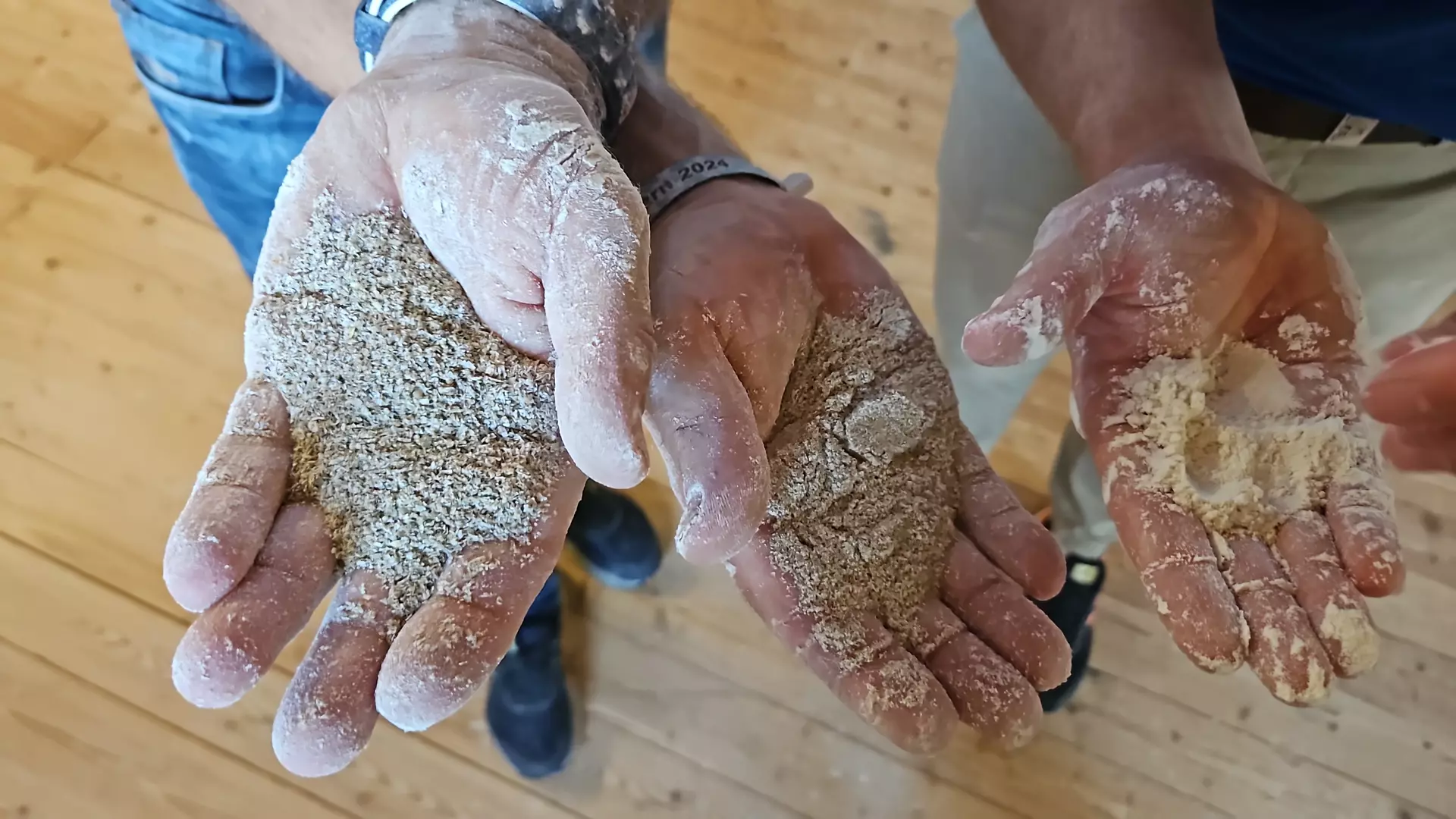 Immer wieder werden Handproben aus den verschiedenen Siebstufen entnommen. Trotz Technisierung braucht es ein geschultes Auge. Fotos: Petra Möllerfrerk